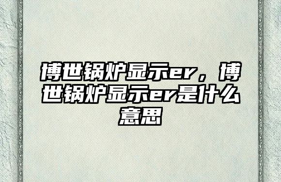 博世鍋爐顯示er，博世鍋爐顯示er是什么意思