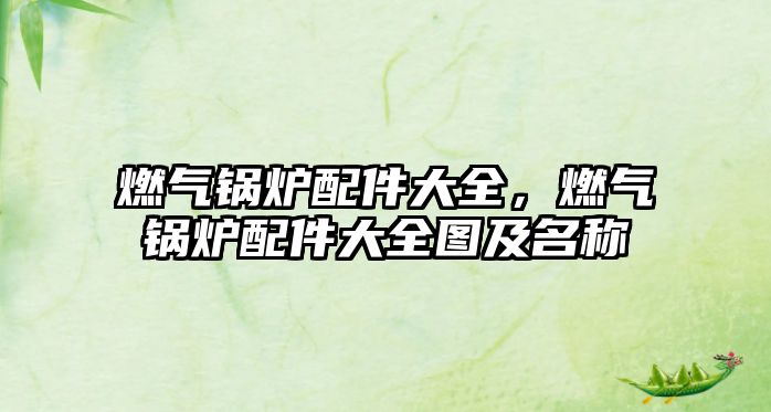 燃?xì)忮仩t配件大全，燃?xì)忮仩t配件大全圖及名稱