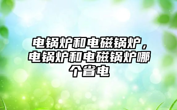 電鍋爐和電磁鍋爐，電鍋爐和電磁鍋爐哪個省電