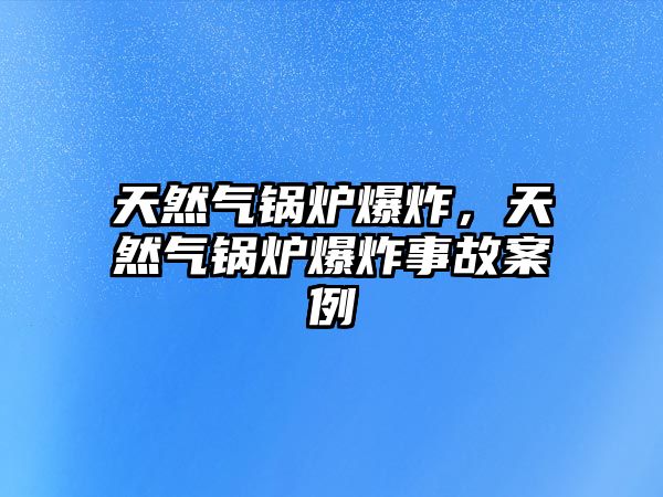 天然氣鍋爐爆炸，天然氣鍋爐爆炸事故案例