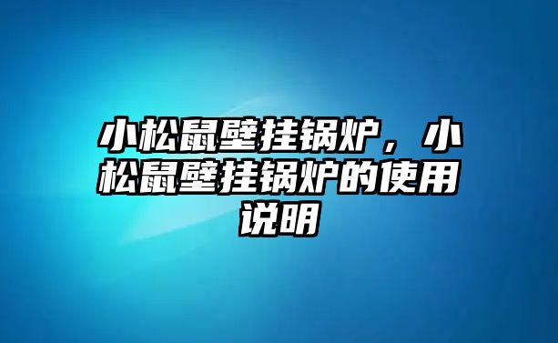 小松鼠壁掛鍋爐，小松鼠壁掛鍋爐的使用說明