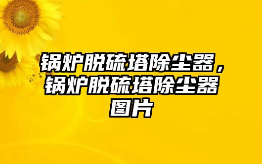 鍋爐脫硫塔除塵器，鍋爐脫硫塔除塵器圖片