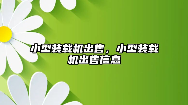 小型裝載機出售，小型裝載機出售信息