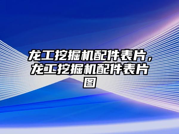 龍工挖掘機配件表片，龍工挖掘機配件表片圖