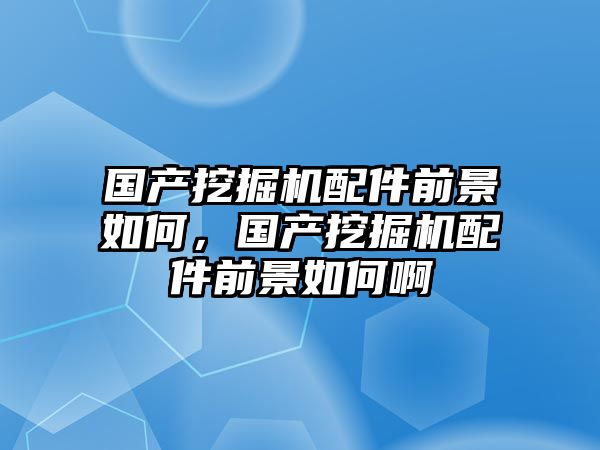 國產(chǎn)挖掘機配件前景如何，國產(chǎn)挖掘機配件前景如何啊