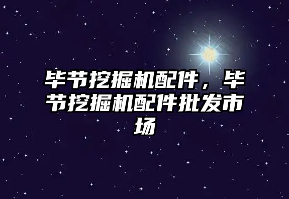 畢節(jié)挖掘機配件，畢節(jié)挖掘機配件批發(fā)市場