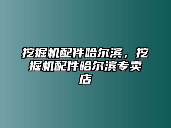 挖掘機(jī)配件哈爾濱，挖掘機(jī)配件哈爾濱專賣店