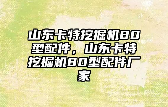 山東卡特挖掘機80型配件，山東卡特挖掘機80型配件廠家