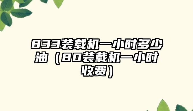 833裝載機一小時多少油（80裝載機一小時收費）