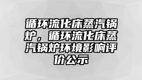 循環(huán)流化床蒸汽鍋爐，循環(huán)流化床蒸汽鍋爐環(huán)境影響評價公示