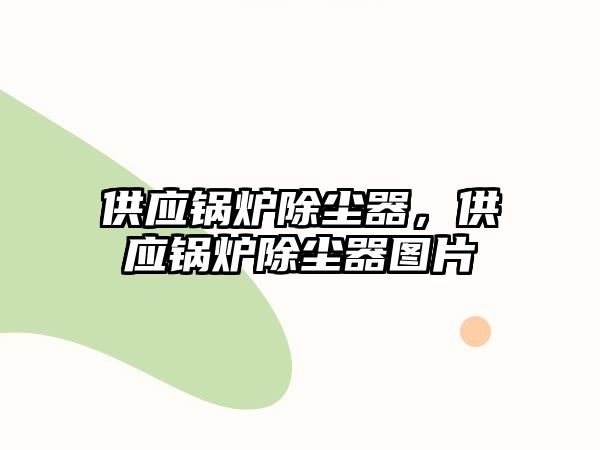 供應鍋爐除塵器，供應鍋爐除塵器圖片