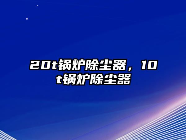 20t鍋爐除塵器，10t鍋爐除塵器