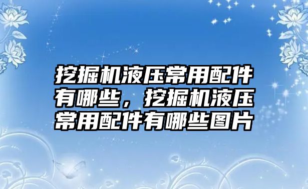 挖掘機液壓常用配件有哪些，挖掘機液壓常用配件有哪些圖片