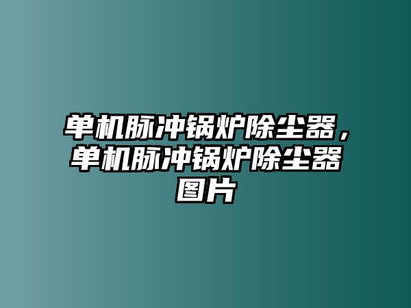 單機脈沖鍋爐除塵器，單機脈沖鍋爐除塵器圖片