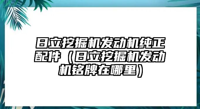 日立挖掘機(jī)發(fā)動機(jī)純正配件（日立挖掘機(jī)發(fā)動機(jī)銘牌在哪里）