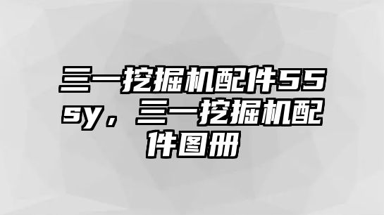 三一挖掘機(jī)配件55sy，三一挖掘機(jī)配件圖冊(cè)