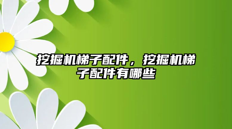 挖掘機梯子配件，挖掘機梯子配件有哪些