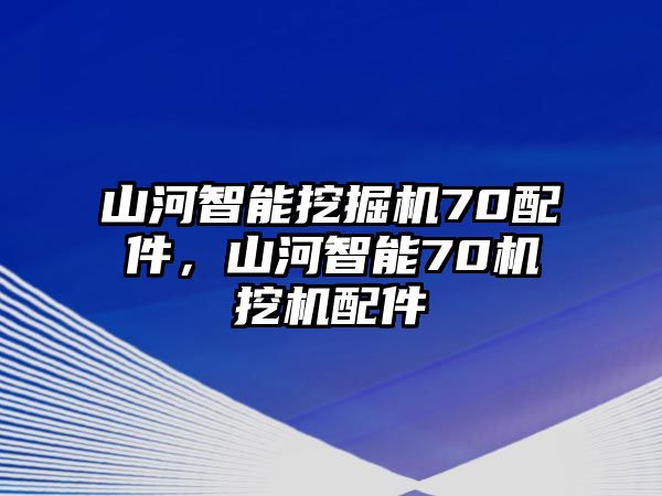 山河智能挖掘機(jī)70配件，山河智能70機(jī)挖機(jī)配件