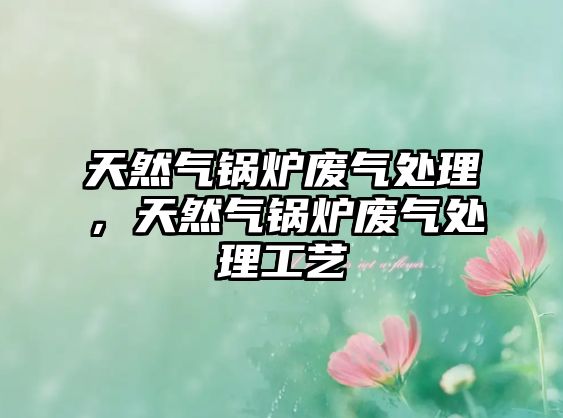 天然氣鍋爐廢氣處理，天然氣鍋爐廢氣處理工藝