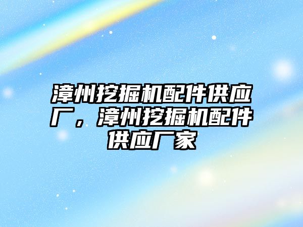 漳州挖掘機配件供應(yīng)廠，漳州挖掘機配件供應(yīng)廠家