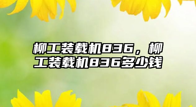 柳工裝載機836，柳工裝載機836多少錢