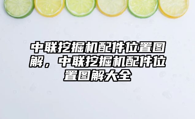 中聯(lián)挖掘機配件位置圖解，中聯(lián)挖掘機配件位置圖解大全