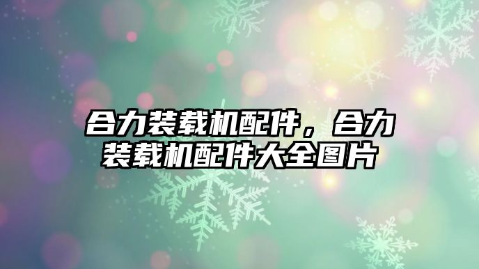 合力裝載機配件，合力裝載機配件大全圖片