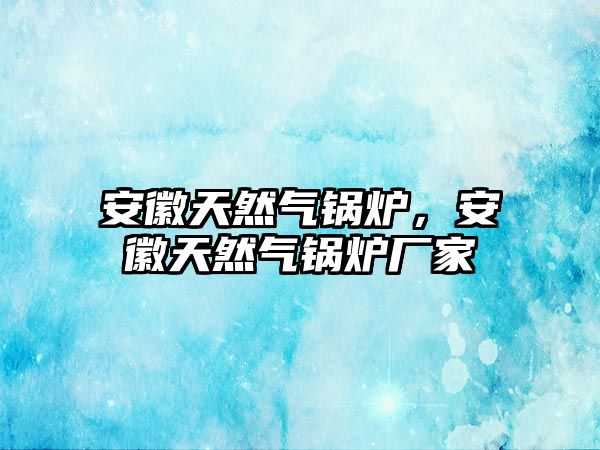 安徽天然氣鍋爐，安徽天然氣鍋爐廠家