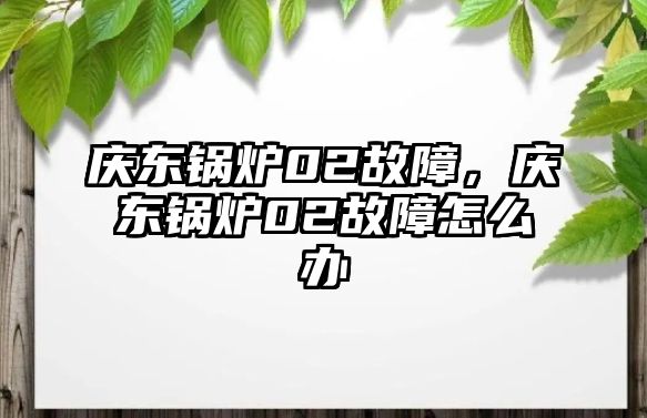 慶東鍋爐02故障，慶東鍋爐02故障怎么辦