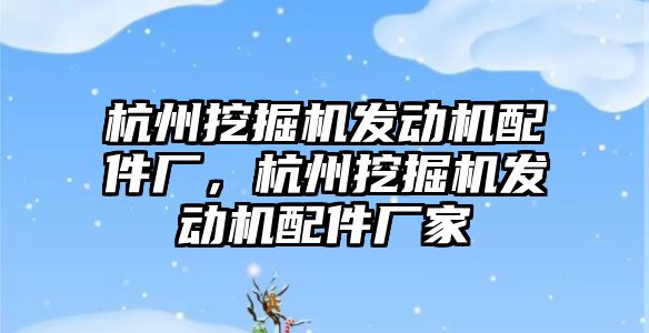 杭州挖掘機發(fā)動機配件廠，杭州挖掘機發(fā)動機配件廠家