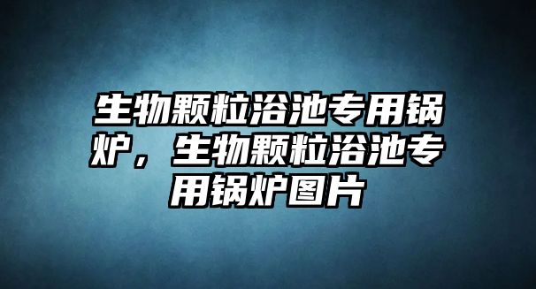 生物顆粒浴池專用鍋爐，生物顆粒浴池專用鍋爐圖片