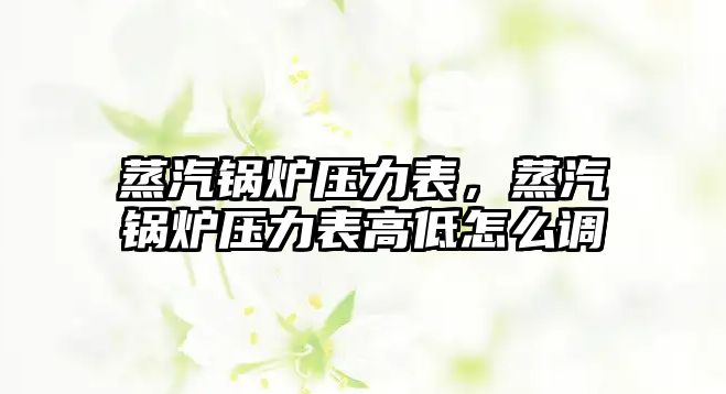 蒸汽鍋爐壓力表，蒸汽鍋爐壓力表高低怎么調(diào)