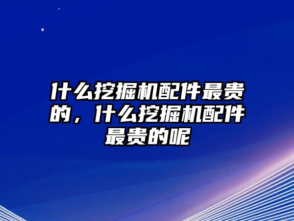 什么挖掘機(jī)配件最貴的，什么挖掘機(jī)配件最貴的呢