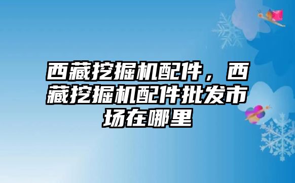 西藏挖掘機(jī)配件，西藏挖掘機(jī)配件批發(fā)市場在哪里