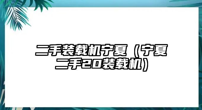 二手裝載機(jī)寧夏（寧夏二手20裝載機(jī)）