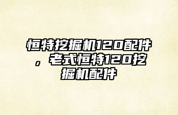 恒特挖掘機(jī)120配件，老式恒特120挖掘機(jī)配件