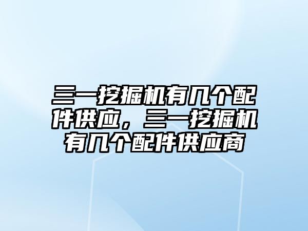 三一挖掘機(jī)有幾個(gè)配件供應(yīng)，三一挖掘機(jī)有幾個(gè)配件供應(yīng)商