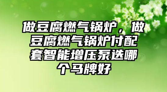 做豆腐燃?xì)忮仩t，做豆腐燃?xì)忮仩t付配套智能增壓泵迭哪個(gè)馬牌好