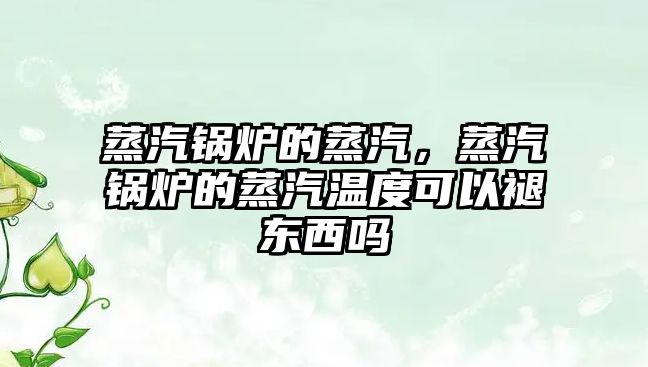 蒸汽鍋爐的蒸汽，蒸汽鍋爐的蒸汽溫度可以褪東西嗎