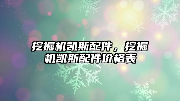 挖掘機(jī)凱斯配件，挖掘機(jī)凱斯配件價格表