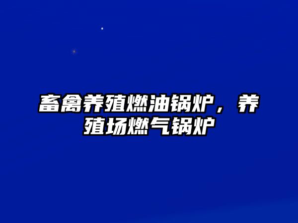 畜禽養(yǎng)殖燃油鍋爐，養(yǎng)殖場燃氣鍋爐