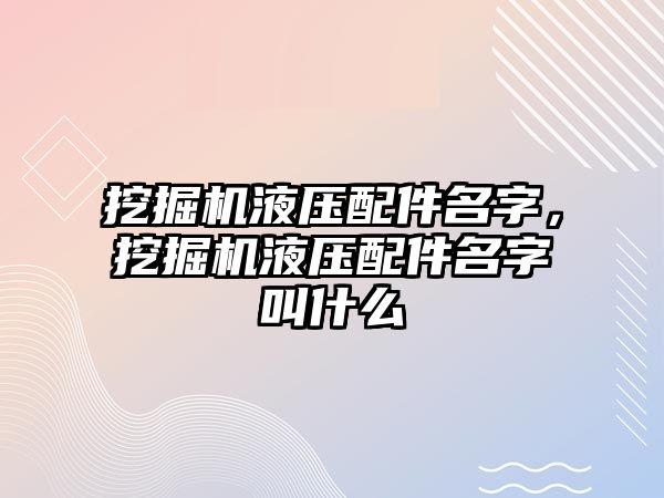 挖掘機(jī)液壓配件名字，挖掘機(jī)液壓配件名字叫什么