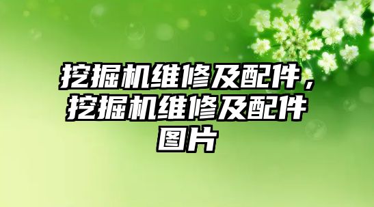 挖掘機維修及配件，挖掘機維修及配件圖片