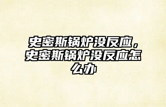 史密斯鍋爐沒反應，史密斯鍋爐沒反應怎么辦