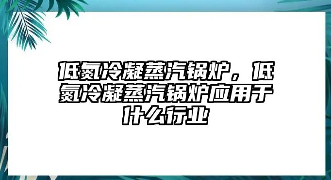 低氮冷凝蒸汽鍋爐，低氮冷凝蒸汽鍋爐應用于什么行業(yè)