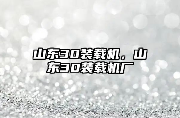 山東30裝載機(jī)，山東30裝載機(jī)廠