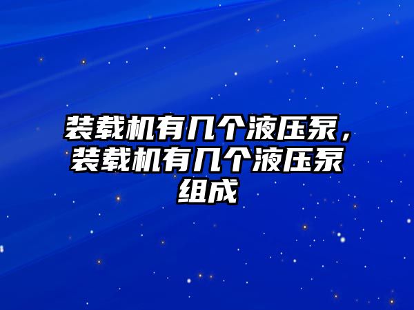 裝載機(jī)有幾個(gè)液壓泵，裝載機(jī)有幾個(gè)液壓泵組成