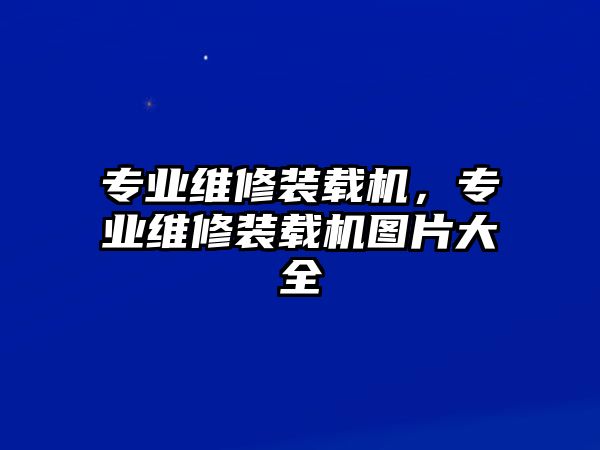 專業(yè)維修裝載機(jī)，專業(yè)維修裝載機(jī)圖片大全