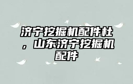 濟寧挖掘機配件杜，山東濟寧挖掘機配件