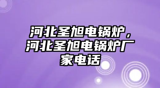 河北圣旭電鍋爐，河北圣旭電鍋爐廠家電話